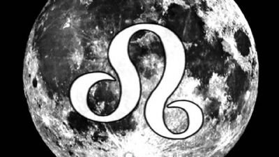 ASLAN BURCUNDA DOLUNAY