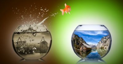 HAYAT RİSK ALMAYA DEĞER