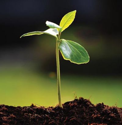 SEN NEYE GEBE KALACAKSIN KARAR VER