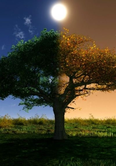 YENİAY, EKİNOKS VE İLİŞKİLER